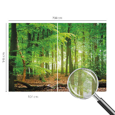 Modern wall mural Green forest