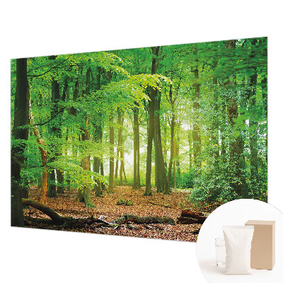 Modern wall mural Green forest