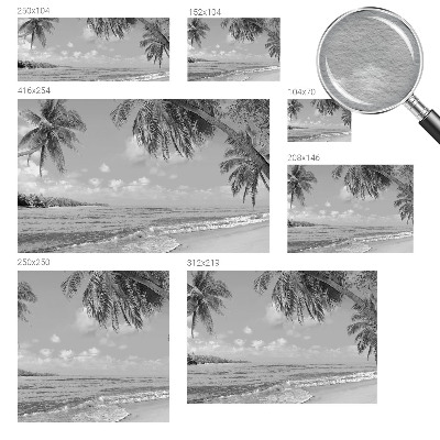 Modern wall mural for bedroom Tropical paradise
