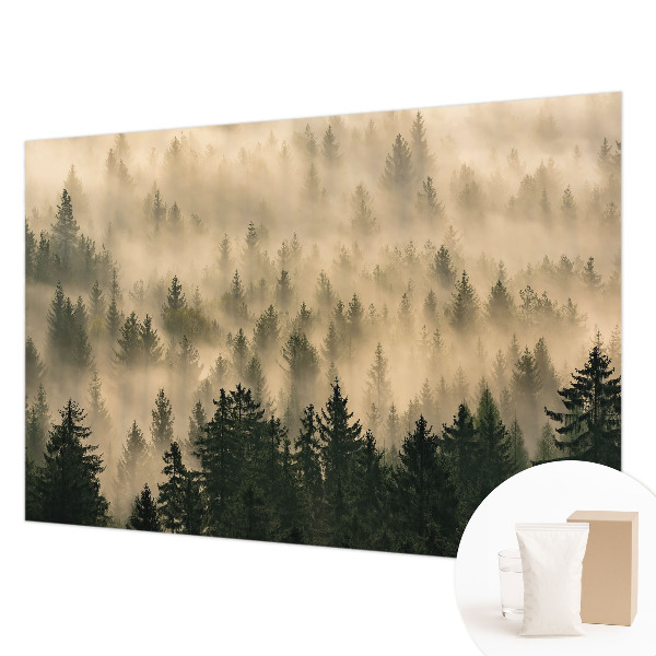 Premium photo wallpaper Forest fog