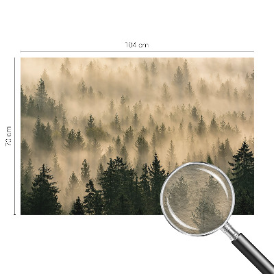Premium photo wallpaper Forest fog