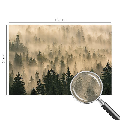 Premium photo wallpaper Forest fog