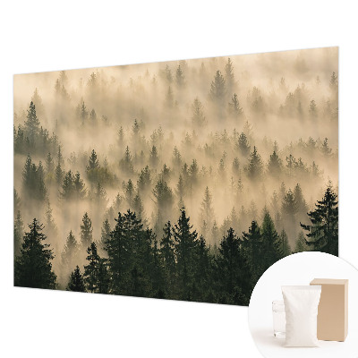 Premium photo wallpaper Forest fog