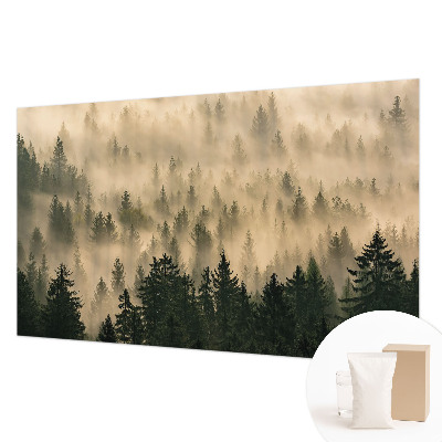 Premium photo wallpaper Forest fog