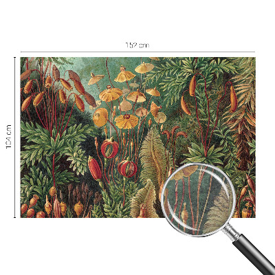Modern wall mural for bedroom Exotic garden