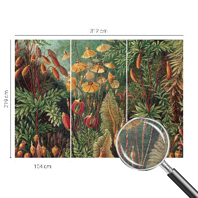Modern wall mural for bedroom Exotic garden