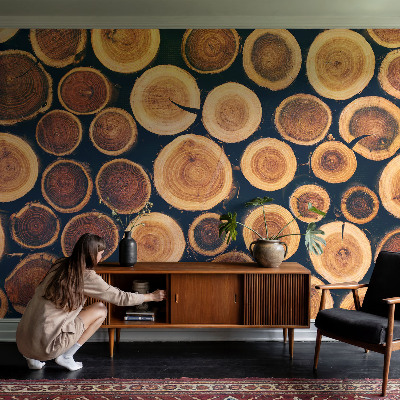 High quality photo wallpaper Wooden circles