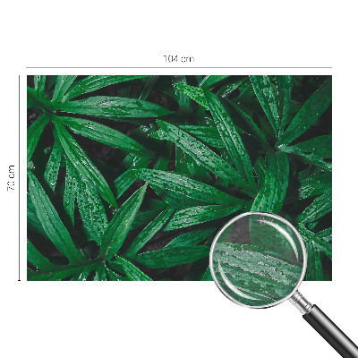 Wallpaper mural for living room Natural greenery