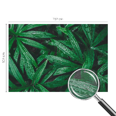 Wallpaper mural for living room Natural greenery