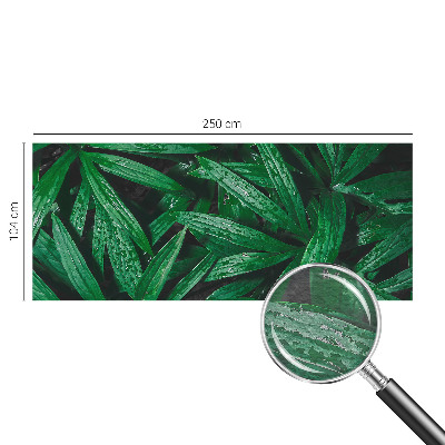 Wallpaper mural for living room Natural greenery