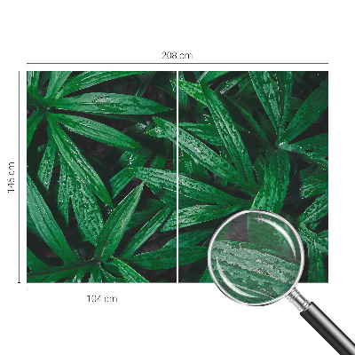 Wallpaper mural for living room Natural greenery