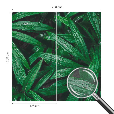 Wallpaper mural for living room Natural greenery