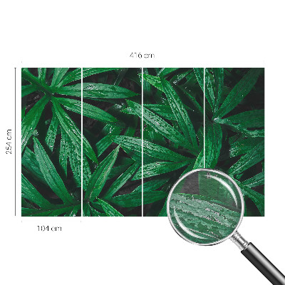 Wallpaper mural for living room Natural greenery