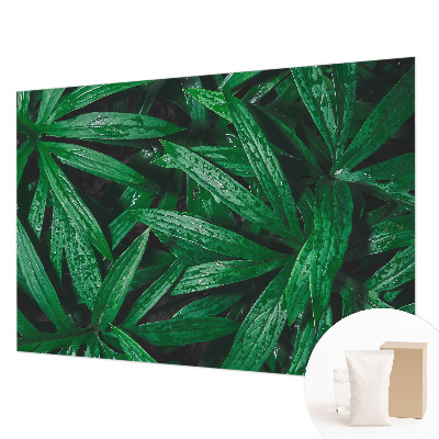 Wallpaper mural for living room Natural greenery