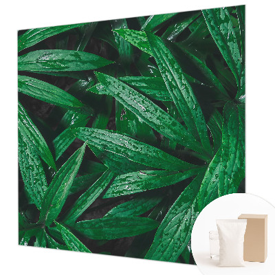 Wallpaper mural for living room Natural greenery