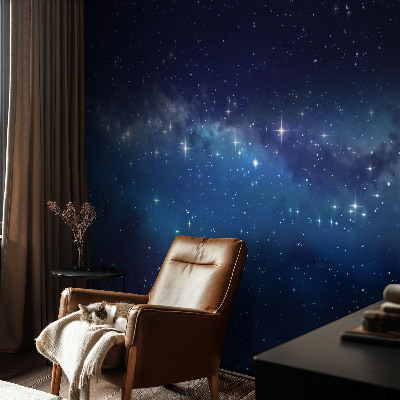 Modern wall mural Starry Night
