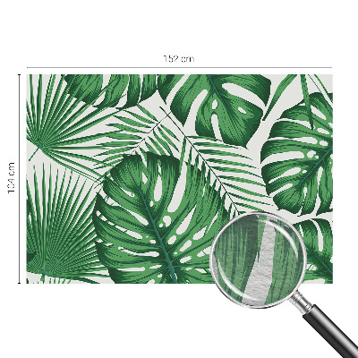Premium wall mural for bedroom Tropical leaves