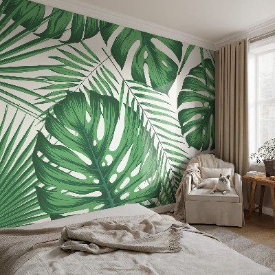 Premium wall mural for bedroom Tropical leaves