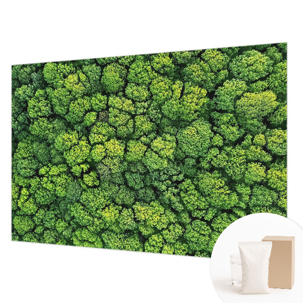 Non-woven photo wallpaper Forest panorama