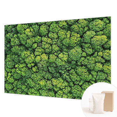 Non-woven photo wallpaper Forest panorama