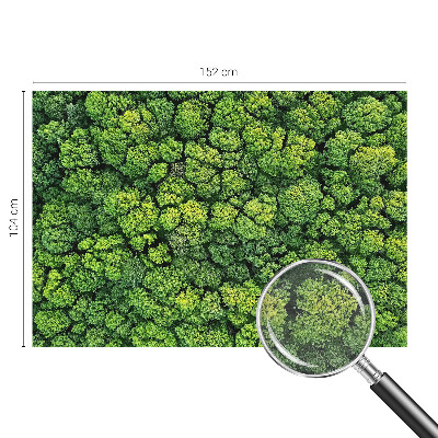 Non-woven photo wallpaper Forest panorama