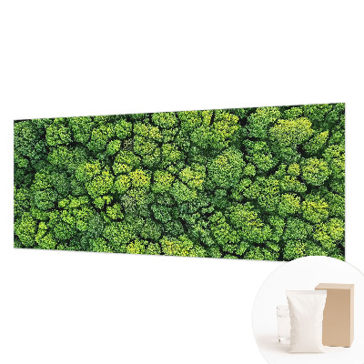 Non-woven photo wallpaper Forest panorama