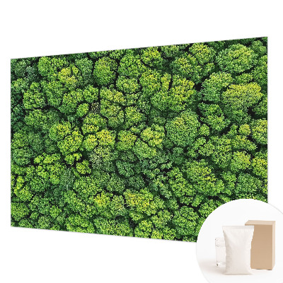 Non-woven photo wallpaper Forest panorama