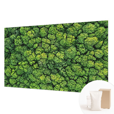 Non-woven photo wallpaper Forest panorama