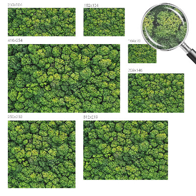 Non-woven photo wallpaper Forest panorama