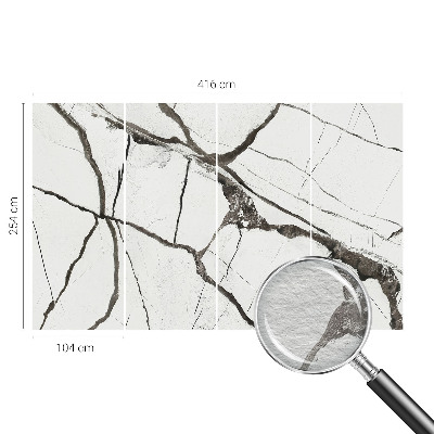 Wall mural for living room Marble cracks