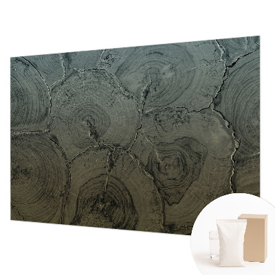 Modern wall mural for bedroom Wooden rings