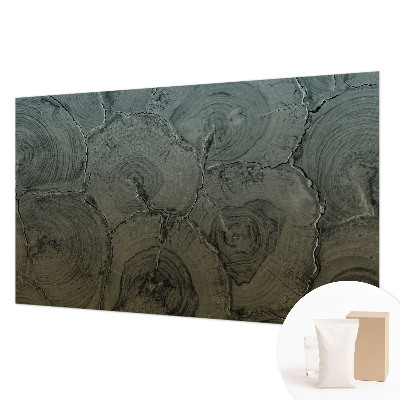 Modern wall mural for bedroom Wooden rings