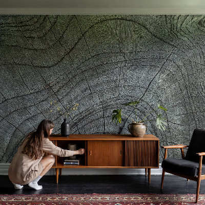 Modern wall mural Grain pattern