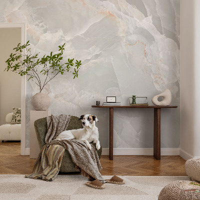 Non-woven photo wallpaper Marble texture