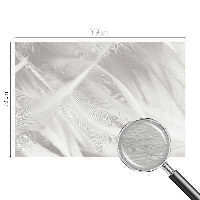Modern wall mural for bedroom Subtle feathers