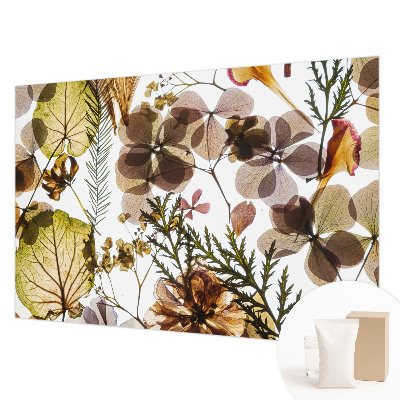 Modern wall mural for bedroom Natural composition