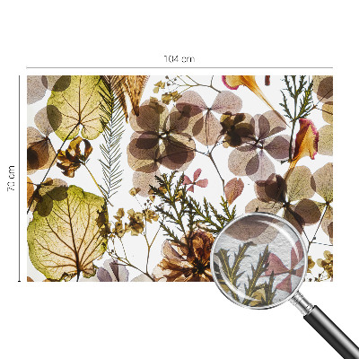 Modern wall mural for bedroom Natural composition