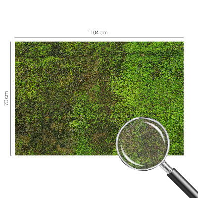 Non-woven photo wallpaper Green carpet