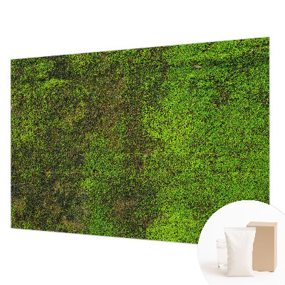 Non-woven photo wallpaper Green carpet