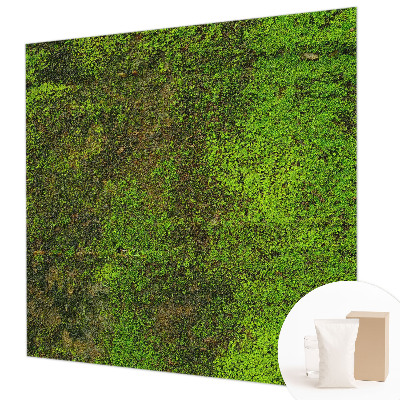 Non-woven photo wallpaper Green carpet