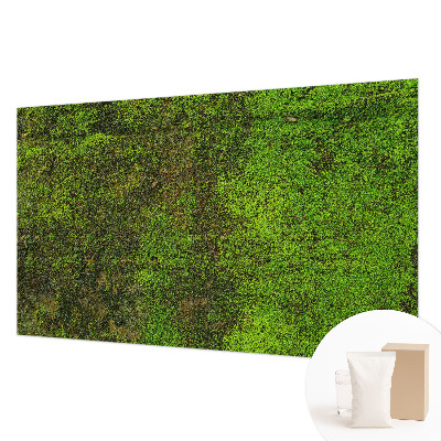 Non-woven photo wallpaper Green carpet