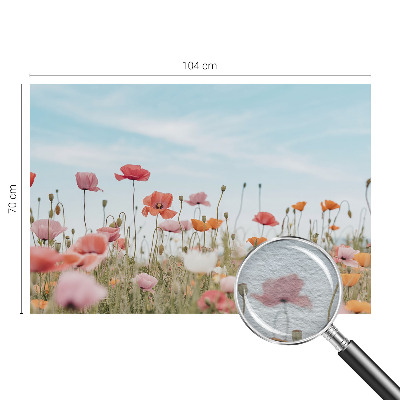 Wall mural for living room Poppy flowers