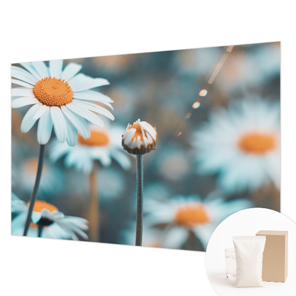 Modern wall mural Chamomile delicacy