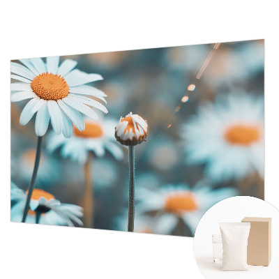 Modern wall mural Chamomile delicacy