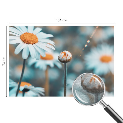 Modern wall mural Chamomile delicacy