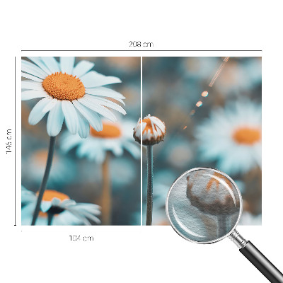 Modern wall mural Chamomile delicacy