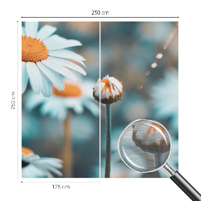 Modern wall mural Chamomile delicacy