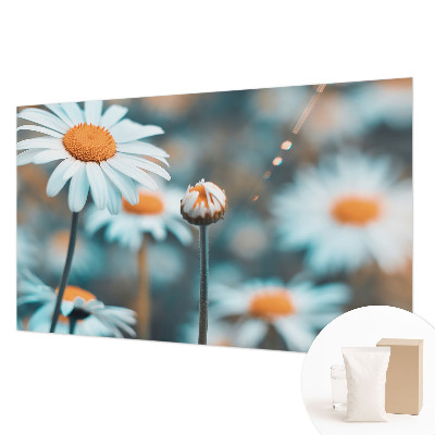 Modern wall mural Chamomile delicacy