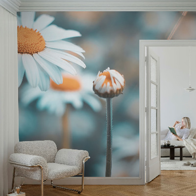 Modern wall mural Chamomile delicacy