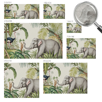 Decorative wall mural for living room Exotic scene